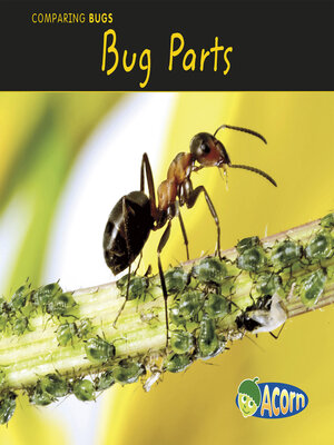 cover image of Bug Parts